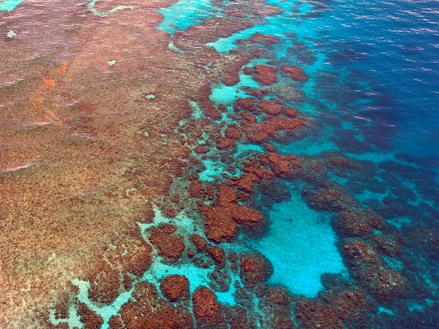 Great Barrier Reef8