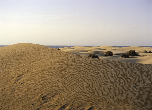 Reserva Natural Especial Dunas de Maspalomas, Gran Canaria