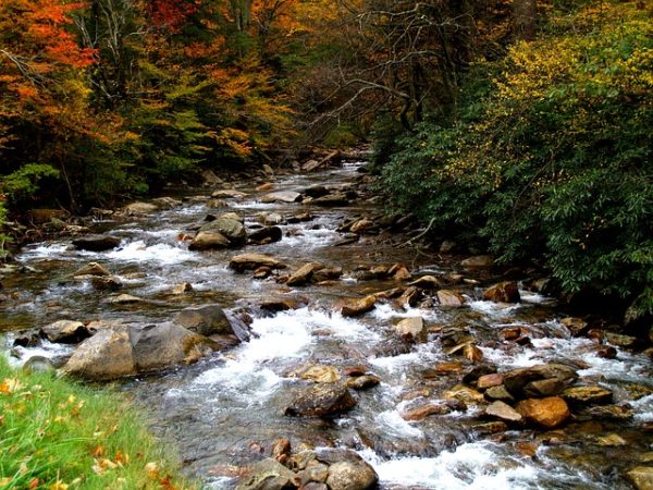 Smoky Mountains