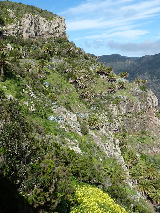 la gomera