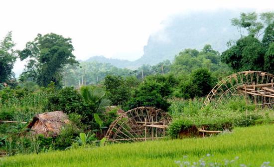 Pu Luong Nature Reserve