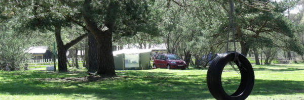 Burnbake Campsite in Dorset 