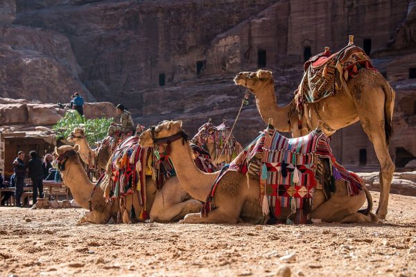 Petra hiking tour