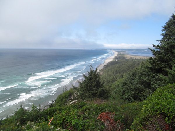 Cape Lookout Surf