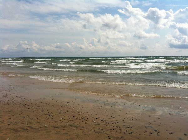 Lake Erie Surf